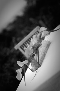 DSC_3531-JPG-large-a1-Kopie